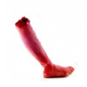 GORY SEVERED 